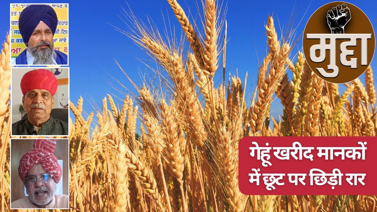 राजस्थान से प्यार.. हरियाणा-पंजाब और MP को दुत्कार, गेहूं खरीद मानक में छूट पर भड़के किसान नेता