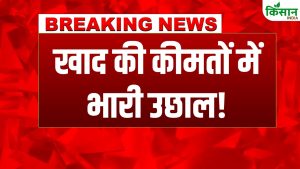 US-ईरान युद्ध का बड़ा असर.. यूरिया DAP के दाम बढ़े, किसानों को राहत देने के लिए केंद्र का फैसला US-ईरान युद्ध का बड़ा असर.. यूरिया DAP के दाम बढ़े, किसानों को राहत देने के लिए केंद्र का फैसला