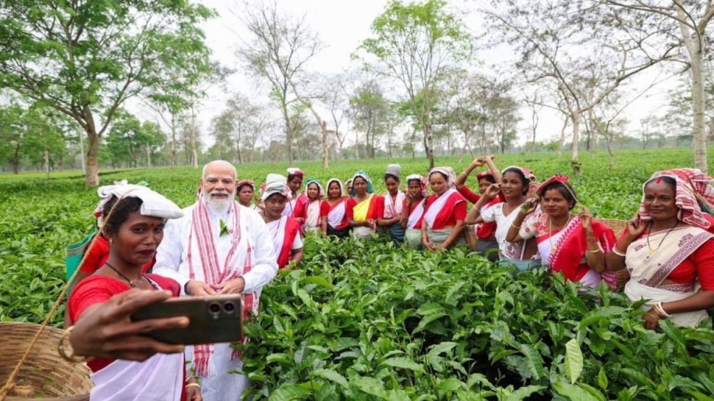 प्रधानमंत्री ने चाय पत्तियों की तुड़ाई का अनुभव किया और महिलाओं के साथ सेल्फी ली. इस दौरान उन्होंने महिलाओं के साथ उनकी सांस्कृतिक परंपराओं और जीवन शैली पर भी बातचीत की, जिससे स्थानीय जीवन और संस्कृति की झलक सामने आई.
