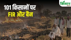 बिहार में 101 किसानों पर सख्त कार्रवाई, 3 साल का लगा बैन.. नहीं मिलेगा सरकारी लाभ बिहार में 101 किसानों पर सख्त कार्रवाई, 3 साल का लगा बैन.. नहीं मिलेगा सरकारी लाभ