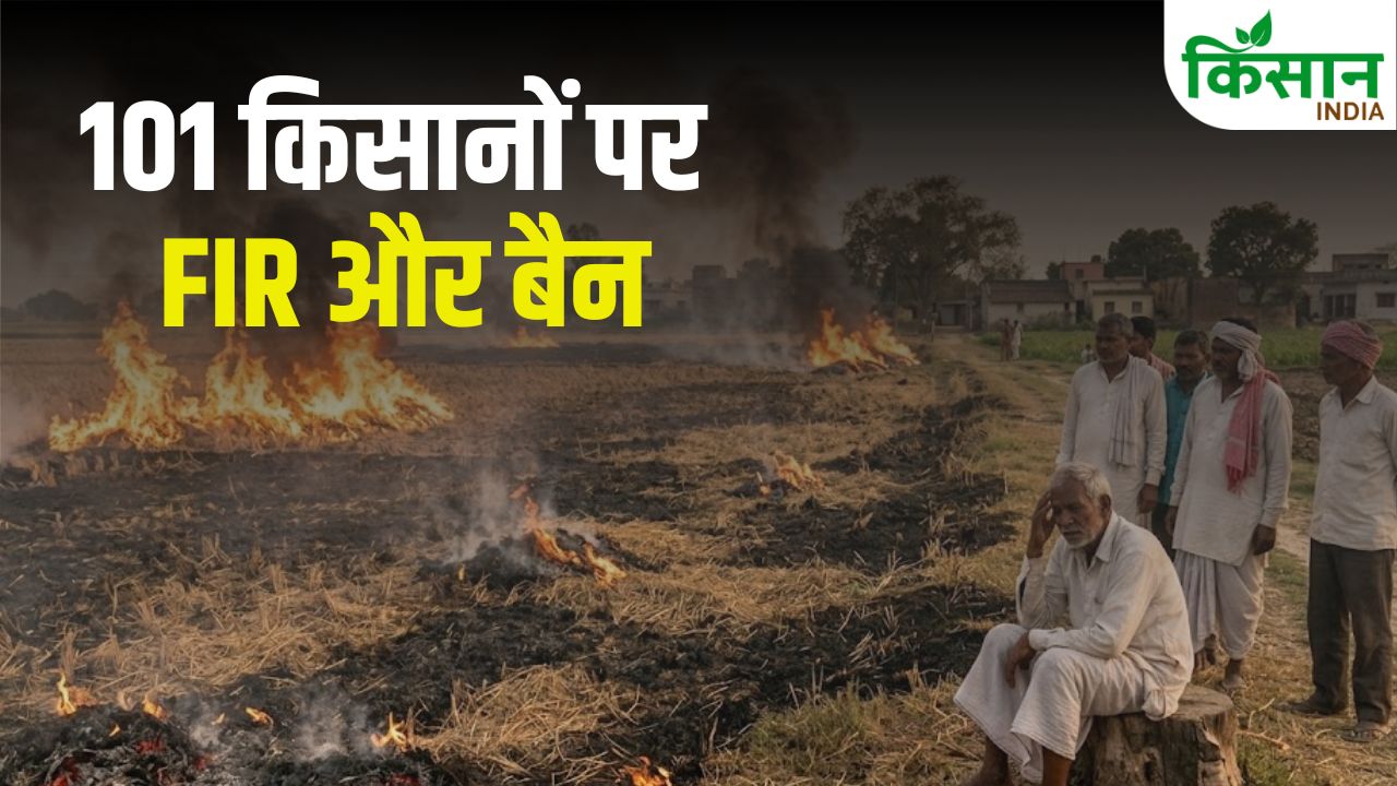 बिहार में 101 किसानों पर सख्त कार्रवाई, 3 साल का लगा बैन.. नहीं मिलेगा सरकारी लाभ
