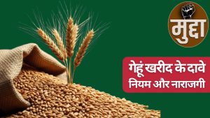 गेहूं खरीद पर 5 दिन में 5 बड़े निर्णयों से कितनी बढ़ी रफ्तार, सरकारी दावों पर क्या कह रहे किसान गेहूं खरीद पर 5 दिन में 5 बड़े निर्णयों से कितनी बढ़ी रफ्तार, सरकारी दावों पर क्या कह रहे किसान
