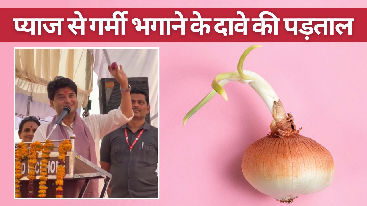 जेब में प्याज रखी तो 51 डिग्री तापमान में भी कुछ नहीं होगा, सिंधिया के दावे पर क्या बोले चिकित्सक 