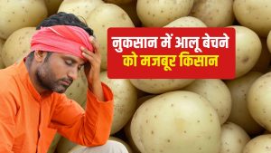 बंगाल में लागत से कम आलू का मार्केट भाव, कई जगहों में 3 रुपये किलो रेट.. किसान परेशान