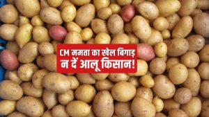 पश्चिम बंगाल में 4 रुपये किलो आलू, रेट में गिरावट से 14 लाख किसान प्रभावित.. बढ़ा सियासी पारा