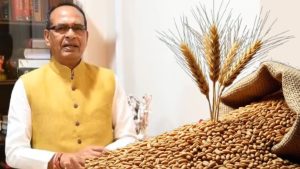किसान का गेहूं हर हाल में खरीदा जाएगा, डेडलाइन बढ़ेगी! तौल कांटों में दिक्कत मिली तो नपेंगे अफसर किसान का गेहूं हर हाल में खरीदा जाएगा, डेडलाइन बढ़ेगी! तौल कांटों में दिक्कत मिली तो नपेंगे अफसर