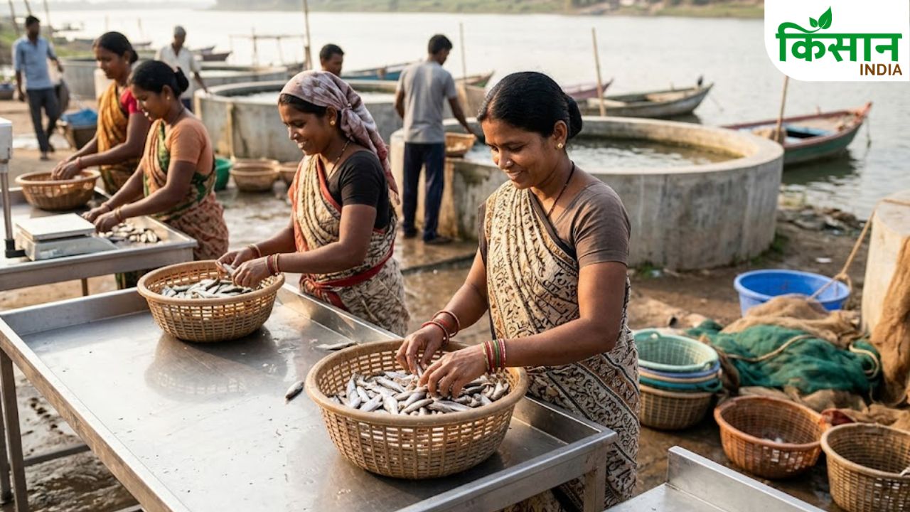 महिलाओं को नौकरी देने पर सरकार देगी 15,000 रुपये सालाना, मत्स्य क्षेत्र में रोजगार और कमाई दोनों का मौका