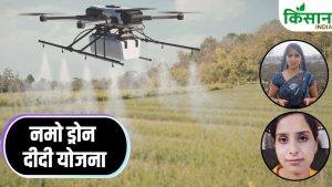 मध्य प्रदेश की रीना और निदा का कमाल, ड्रोन से खेती बदली और कमाई लाखों के पार पहुंचाई