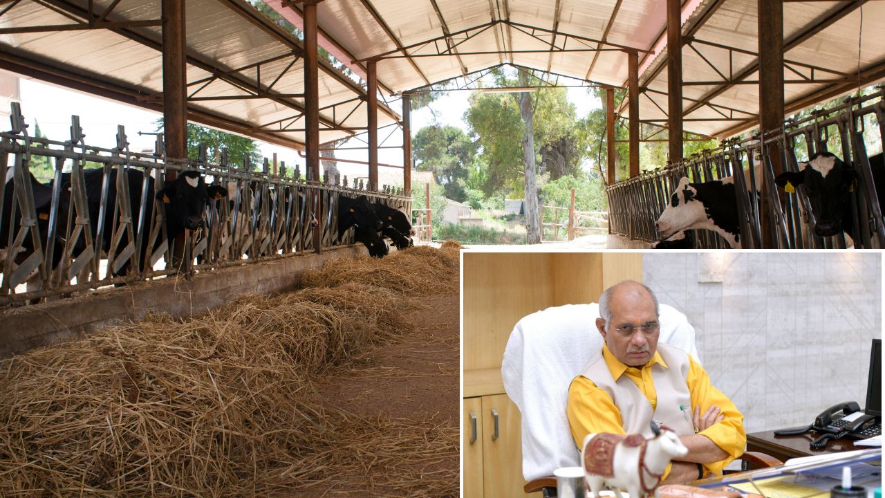 15 मई तक ताबड़तोड़ चेकिंग! गौशालाओं में 10 कुंतल भूसा रखना हुआ अनिवार्य, नहीं तो एक्शन तय!