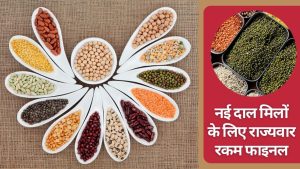153 दाल मिलों पर 900 करोड़ खर्च करने को मंजूरी, महाराष्ट्र से गुजरात और MP तक लगेंगी नई दाल मिलें 153 दाल मिलों पर 900 करोड़ खर्च करने को मंजूरी, महाराष्ट्र से गुजरात और MP तक लगेंगी नई दाल मिलें