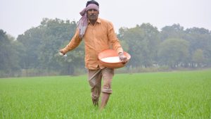 कृषि मंत्रालय का निर्देश- फसल नुकसान का सर्वे करेंगे तीन विभाग, फार्मर आईडी रोकेगी खाद की ब्लैक मार्केटिंग कृषि मंत्रालय का निर्देश- फसल नुकसान का सर्वे करेंगे तीन विभाग, फार्मर आईडी रोकेगी खाद की ब्लैक मार्केटिंग
