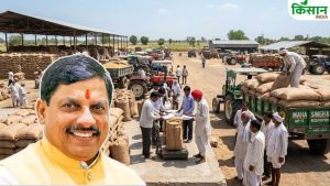 Wheat Procurement: सिर्फ 2 दिन में किसानों के खाते में 6.37 करोड़, मध्य प्रदेश में गेहूं खरीदी ने पकड़ी रफ्तार Wheat Procurement: सिर्फ 2 दिन में किसानों के खाते में 6.37 करोड़, मध्य प्रदेश में गेहूं खरीदी ने पकड़ी रफ्तार