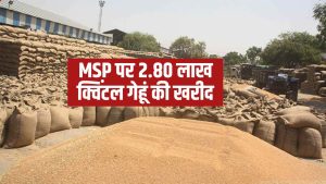 हरियाणा की इन तीन मंडियों में गेहूं की बंपर आवक, 7 लाख टन के पार पहुंचा आंकड़ा.. पर उठान में हो रही देरी हरियाणा की इन तीन मंडियों में गेहूं की बंपर आवक, 7 लाख टन के पार पहुंचा आंकड़ा.. पर उठान में हो रही देरी