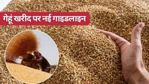 दिल्ली के गेहूं किसानों के लिए बड़ा ऐलान, 5 साल बाद हो रही खरीद के लिए मानकों में ढील दी गई दिल्ली के गेहूं किसानों के लिए बड़ा ऐलान, 5 साल बाद हो रही खरीद के लिए मानकों में ढील दी गई