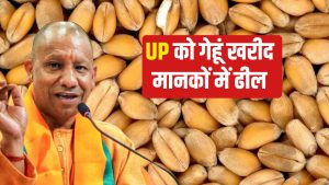 पंजाब के बाद UP में गेहूं किसानों को बड़ी राहत, अब होगी तगड़ी कमाई.. सरकार ने लिया फैसला