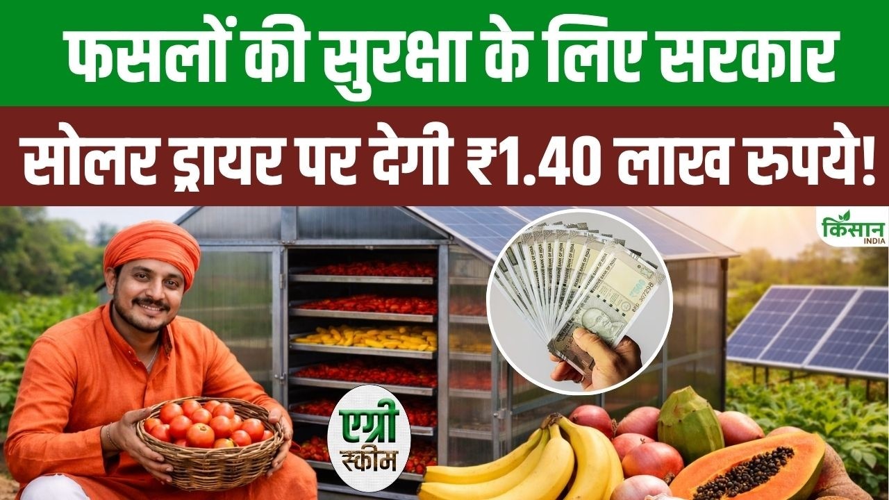 किसानों के लिए खुशखबरी, सोलर ड्रायर पर 1.40 लाख सब्सिडी, फसल खराब नहीं होगी और मुनाफा होगा दोगुना