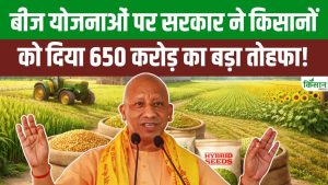 15 करोड़ बीज सब्सिडी और 4 करोड़ स्टोरेज पर खर्च, CM योगी का किसानों के लिए बड़ा फैसला 15 करोड़ बीज सब्सिडी और 4 करोड़ स्टोरेज पर खर्च, CM योगी का किसानों के लिए बड़ा फैसला