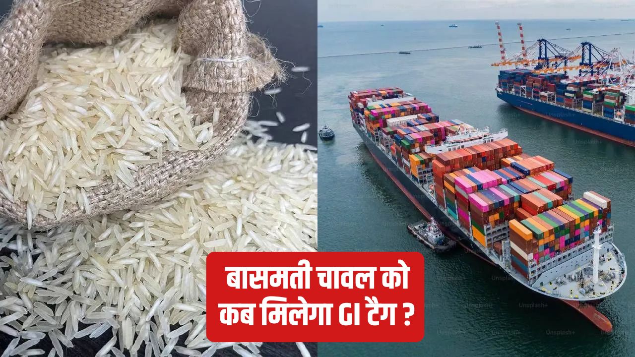 बासमती निर्यात पर राइस मिलर्स ने जताई चिंता, सरकार को लिखा पत्र.. की तुरंत सुधार की मांग