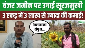 सूरजमुखी की खेती ने बदली किसान की किस्मत, बंजर जमीन से लाखों की कमाई कर बना आसपास के लिए मिसाल