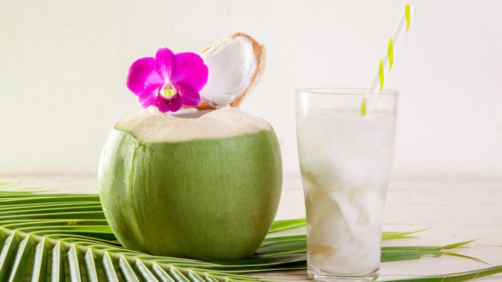 अनुभवी दुकानदारों का कहना है कि छोटे नारियल में अक्सर लगभग 300ml पानी होता है, जबकि बड़े नारियल में केवल 200–250ml पानी होता है. इसलिए अगर आपका मुख्य उद्देश्य ताजा नारियल पानी पीना है, तो छोटे नारियल का चयन करना बेहतर होता है.