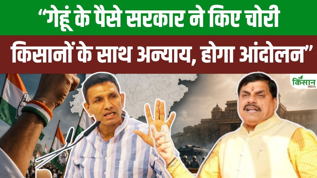जीतू पटवारी ने गेहूं भुगतान में गड़बड़ी का लगाया आरोप, दी आंदोलन की चेतावनी