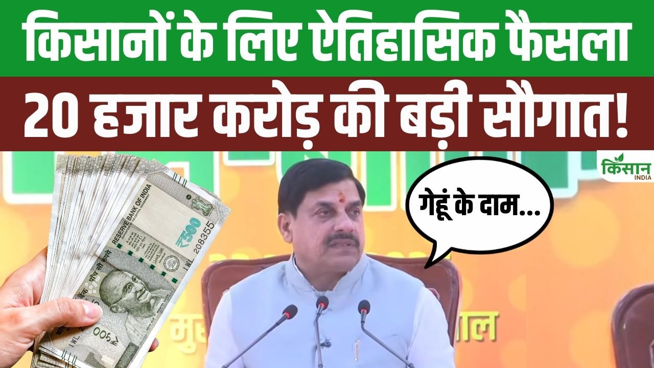 Mohan Yadav का बड़ा ऐलान, गेहूं का रेट 2700 रुपये प्रति क्विंटल तय, किसानों को मिलेगा सीधा फायदा