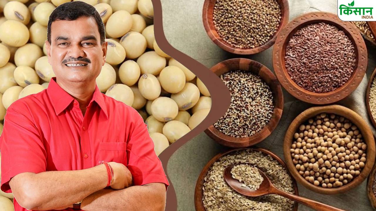 महाराष्ट्र सरकार ला रही नया बीज कानून, किसानों को अब मिलेगी कानूनी सुरक्षा और तुरंत मुआवजा