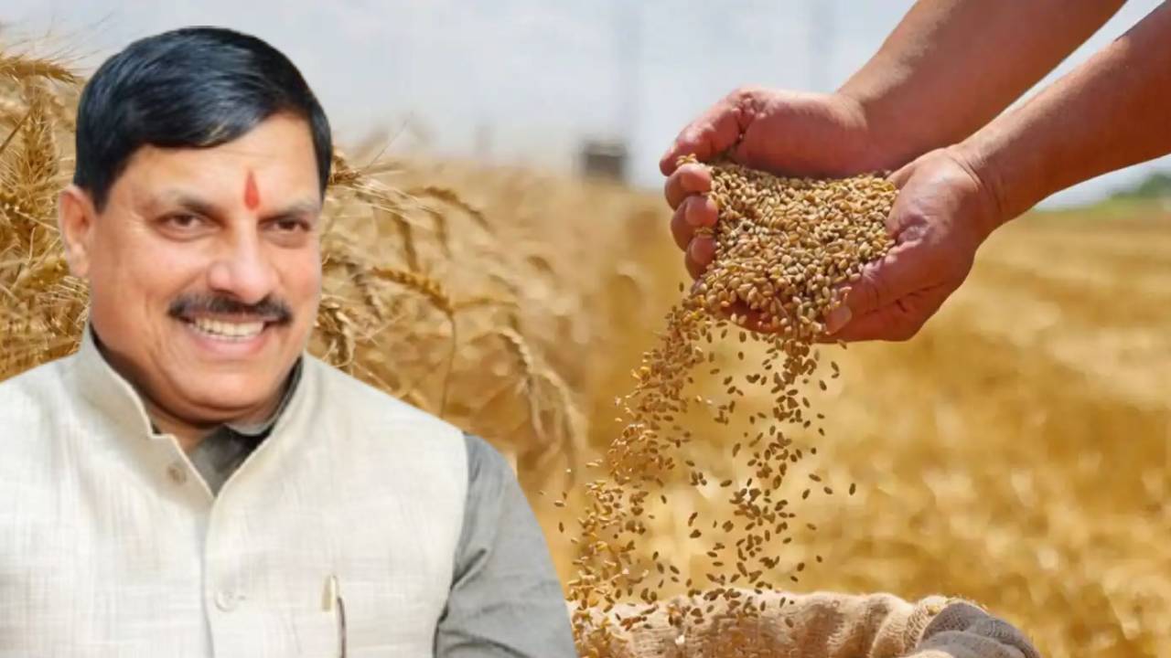 रिकॉर्ड उत्पादन के बीच MP में अब 100 लाख मीट्रिक टन गेहूं खरीदेगी सरकार, किसानों को मिलेगा पूरा MSP