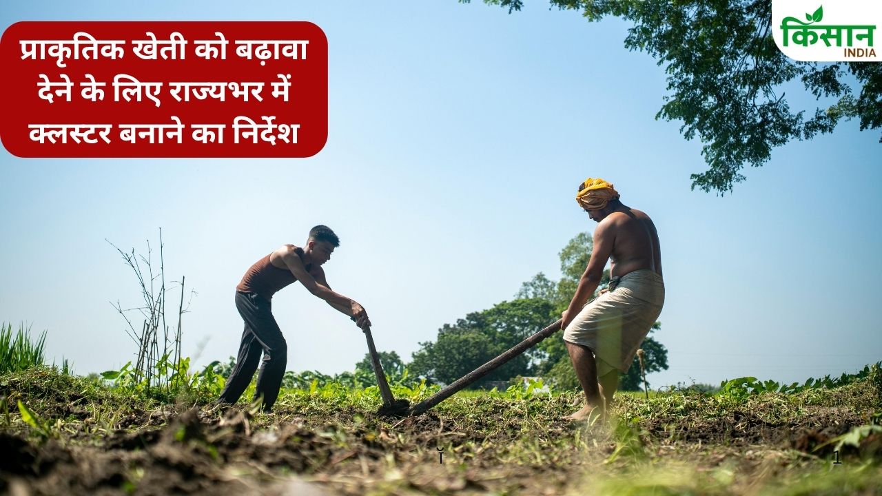हरियाणा में बागवानी फसलों को बढ़ावा, बनाए जाएंगे क्लस्टर.. किसान करेंगे टिशू कल्चर आधारित खेती