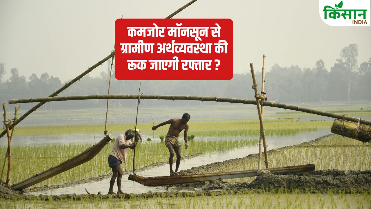 सामान्य से कम होती है बारिश तो खेती हो जाएगी मंहगी, किसानों को डीजल, बिजली पर मिलेगी सब्सिडी ?