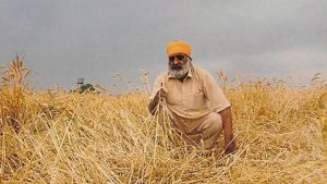 Report: बेमौसम बारिश से गेहूं की फसल को बड़ा नुकसान, 9 राज्यों के 111 जिलों में उत्पादन गिरावट तय Report: बेमौसम बारिश से गेहूं की फसल को बड़ा नुकसान, 9 राज्यों के 111 जिलों में उत्पादन गिरावट तय