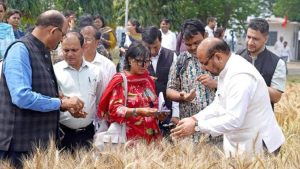 ICAR की रिसर्च से खेती होगी और आसान, 25 फीसदी कम खाद में बेहतर गेहूं उत्पादन का दावा ICAR की रिसर्च से खेती होगी और आसान, 25 फीसदी कम खाद में बेहतर गेहूं उत्पादन का दावा