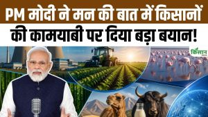 PM मोदी ने ‘मन की बात’ के 133वें एपिसोड में बांस खेती को लेकर दिया खास संदेश