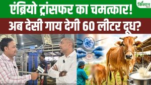 Embryo Transfer Technique: दूध की महंगाई का पक्का इलाज! एंब्रियो ट्रांसफर तकनीक से मचेगा गदर