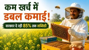 कम खर्च में डबल कमाई! मधुमक्खी पालन से किसान बने लखपति, 85 फीसदी तक है सब्सिडी
