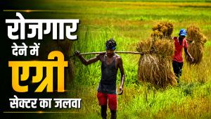 बेरोजगारी दर में गिरावट.. रोजगार देने में आगे रहा ग्रामीण सेक्टर, कृषि में काम करने वालों की संख्या 55 फीसदी बेरोजगारी दर में गिरावट.. रोजगार देने में आगे रहा ग्रामीण सेक्टर, कृषि में काम करने वालों की संख्या 55 फीसदी