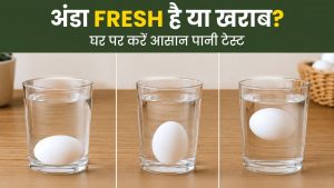 अंडा ताजा है या खराब? खाने से पहले जरूर करें ये 10 सेकेंड का ‘वॉटर टेस्ट’, FSSAI की एडवाइजरी अंडा ताजा है या खराब? खाने से पहले जरूर करें ये 10 सेकेंड का ‘वॉटर टेस्ट’, FSSAI की एडवाइजरी