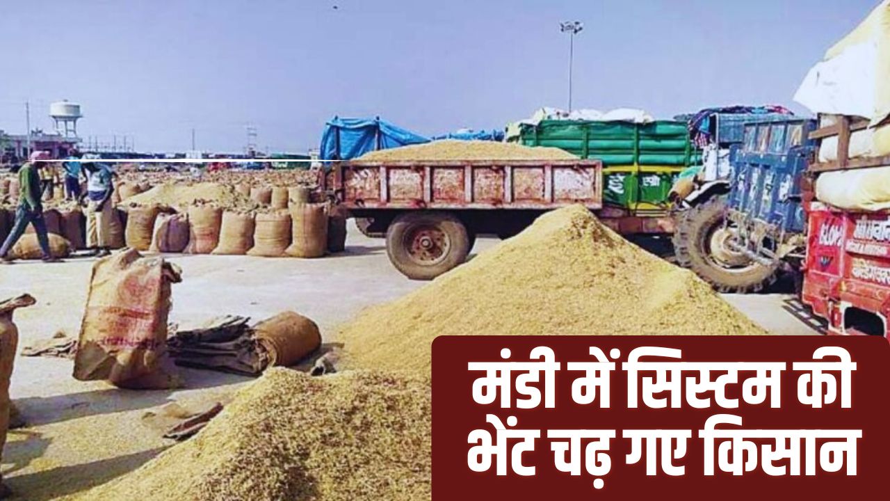 उपज बेचने मंडी आए 2 किसानों की मौत, पत्नी के सामने तोड़ा दम.. सिस्टम की खामियां उजागर