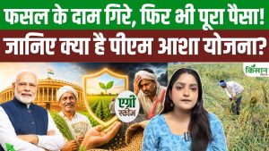 बाजार में गिरे फसल के दाम तो भी नहीं होगा नुकसान, PM Asha Yojna देगी MSP का पूरा पैसा बाजार में गिरे फसल के दाम तो भी नहीं होगा नुकसान, PM Asha Yojna देगी MSP का पूरा पैसा