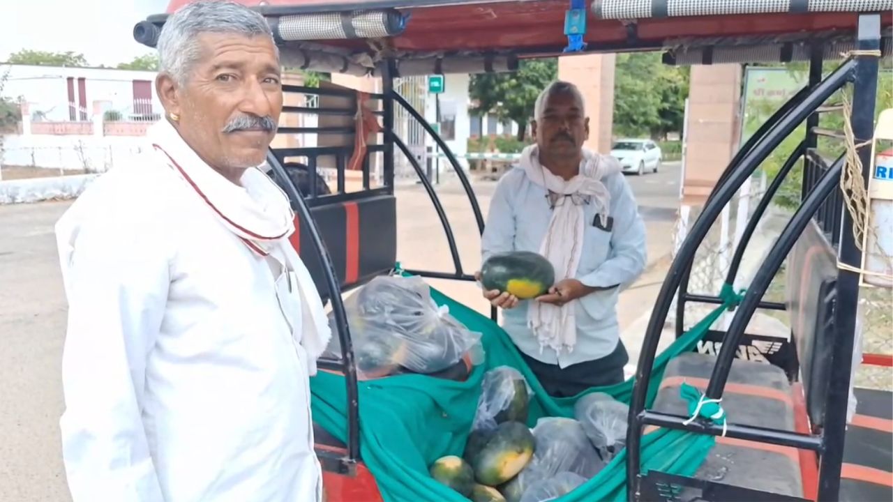 90 फीसदी पानी और 14 फीसदी मिठास ने बढ़ाई जैविक तरबूज की डिमांड, विशेषज्ञों ने बताया खास