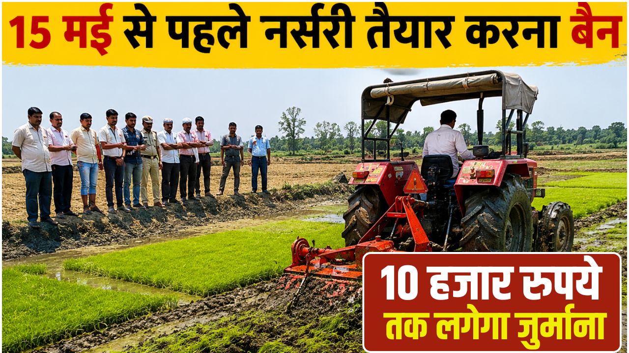 खेतों में दौड़ा सरकार का ट्रैक्टर, प्रशासन ने नष्ट की 12 एकड़ में धान की नर्सरी.. जानें वजह