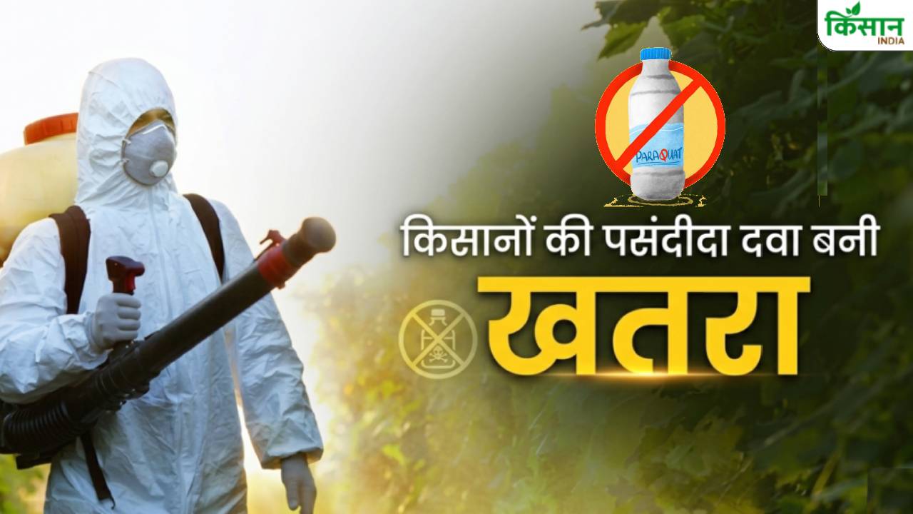 किसानों को बड़ा झटका! आंध्र प्रदेश में पैराक्वाट पर लगा बैन, जानें क्यों 60 दिनों तक नहीं होगी बिक्री