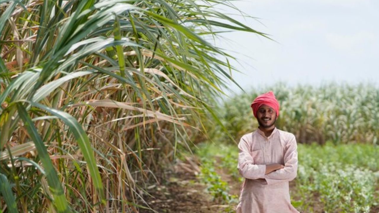 खेती के बढ़ते खर्च से किसानों की टूट रही कमर, किसान बोले- गन्ना बकाया 230 करोड़ जारी करे सरकार 