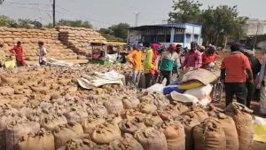 धान खरीद में बड़ा घोटाला पकड़ा, दो समितियों के गोदाम से गायब हो गया 1700 क्विंटल धान धान खरीद में बड़ा घोटाला पकड़ा, दो समितियों के गोदाम से गायब हो गया 1700 क्विंटल धान
