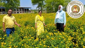 60 हजार लगाकर किसान ने कमाए 2 लाख रुपये, इस फूल की खेती आपको भी बना देगी करोड़पति  