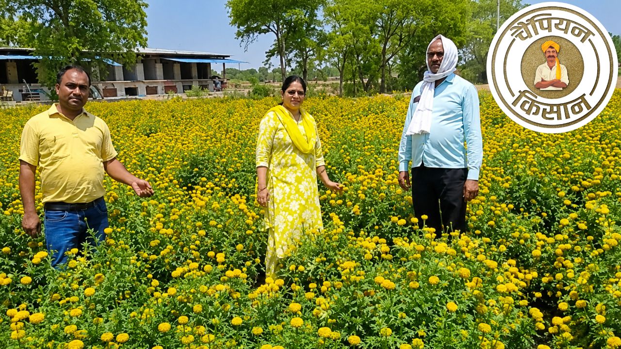 60 हजार लगाकर किसान ने कमाए 2 लाख रुपये, इस फूल की खेती आपको भी बना देगी करोड़पति  
