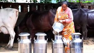 किसानों से 2.5 लाख लीटर दूध रोज खरीदेगी मधुर डेयरी, 128 करोड़ की लागत वाली डेयरी शुरू