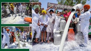सिंथेटिक दूध का काला कारोबार.. सस्ते के लालच में सेहत से खिलवाड़, किसानों के बवाल पर प्रशासन अलर्ट