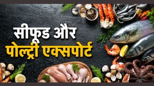 पश्चिम एशिया संघर्ष से सीफूड करोबार प्रभावित, CLFMA ने बताया पोल्ट्री-फीड निर्यात पर कितना असर पश्चिम एशिया संघर्ष से सीफूड करोबार प्रभावित, CLFMA ने बताया पोल्ट्री-फीड निर्यात पर कितना असर