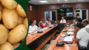 आलू की कुफरी बहार किस्म के बीज उत्पादन को मंजूरी, आलू संस्थान टिश्यू कल्चर विधि अपनाएगा